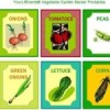 {Free Printables} Vegetable Garden Markers