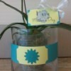 {Free Printables} Mother's Day Vase Wraps|Hang Tags